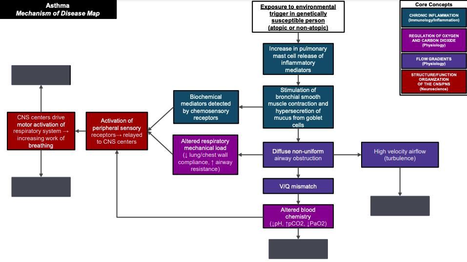 Asthma-MOD-map-clinical-features.png
